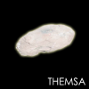 themsa.png